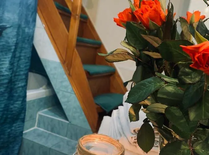 Kamienica Monciak 公寓 *